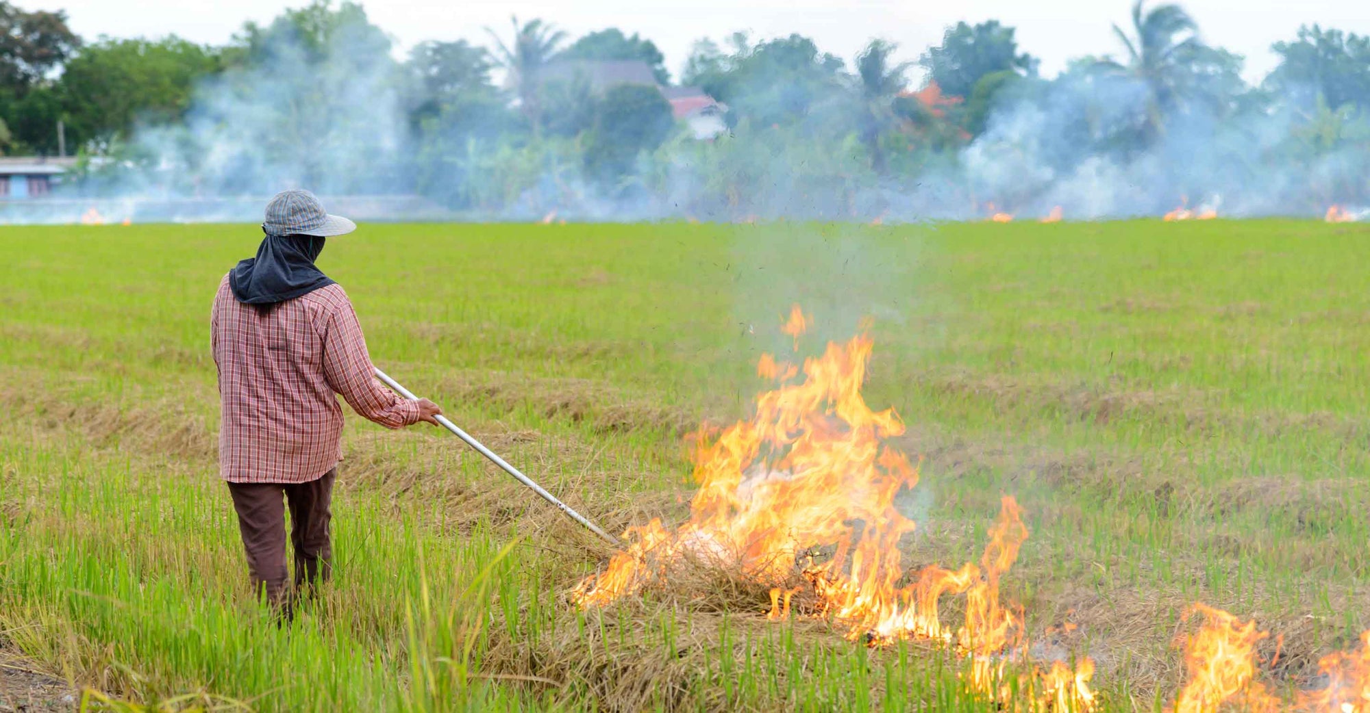Farmer crop burning