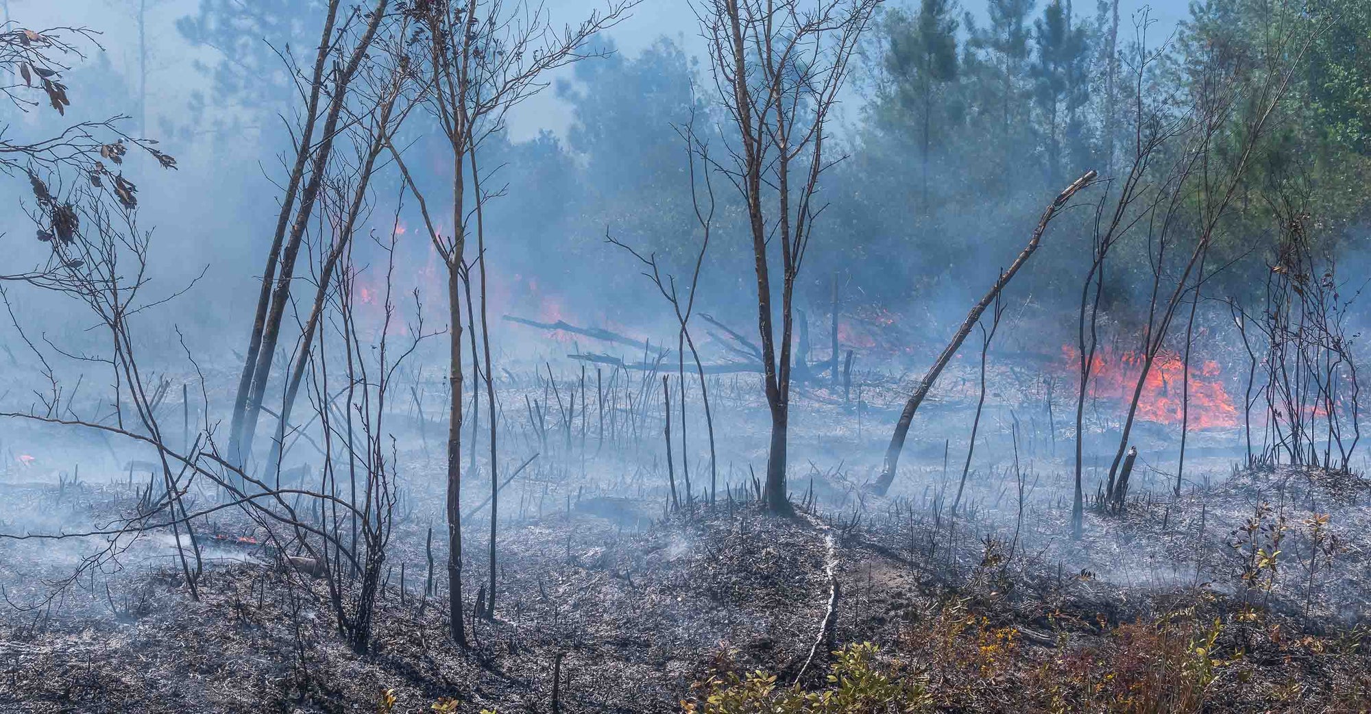 The largest fire in Louisiana&#039;s history is threatening lives.