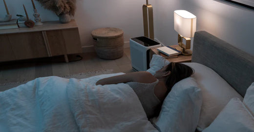 The Quiet Achievers: Air Purifiers For Bedrooms