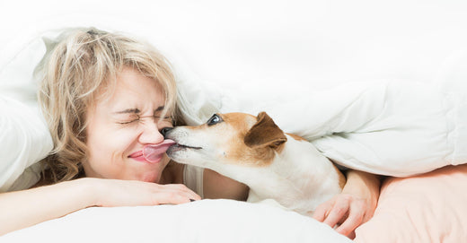 A dog licks a young woman&#039;s face while she lays in her bed.