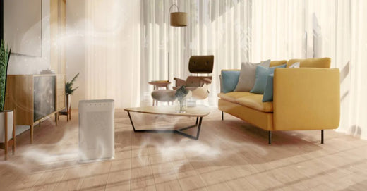 Debunking Myths: Air Purifiers And Smoke Filtration