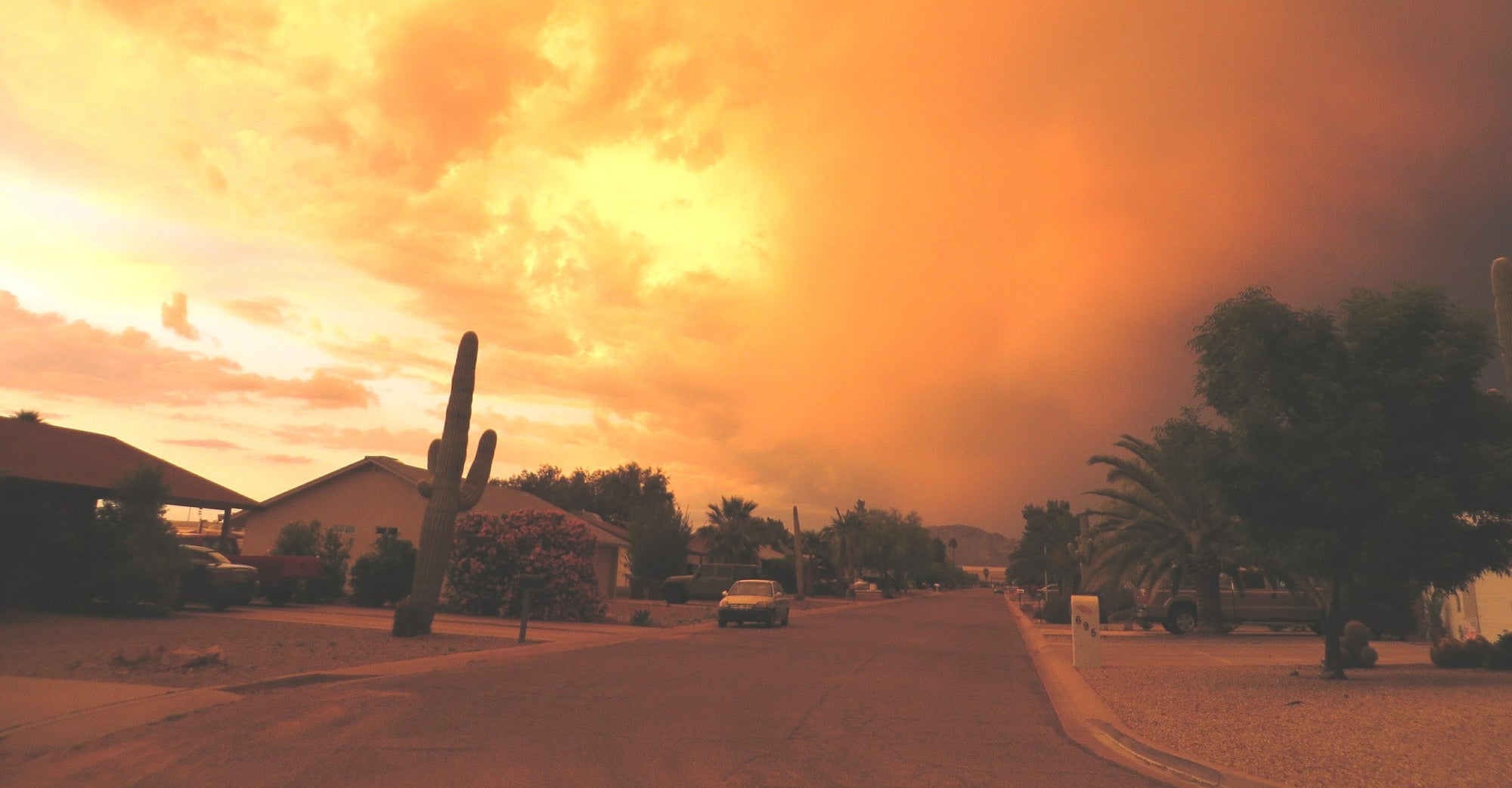 Orange skies over a suburb