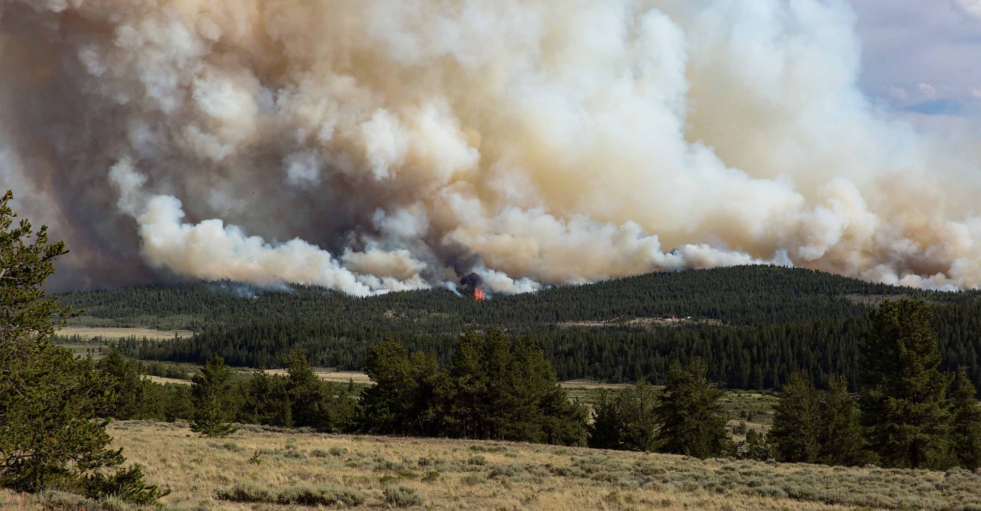 Wildfire Map Spotlight: Alexander Mountain, Colorado