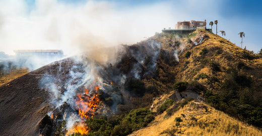 Fire racing up mountainside.