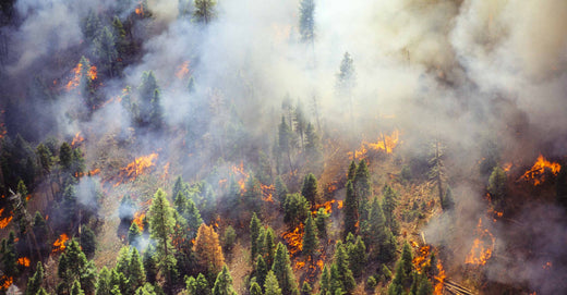 Wildfire Map Spotlight: Durkee Fire, Oregon