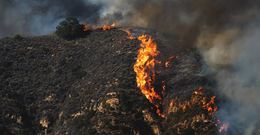 Fire on mountainside